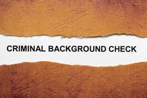 What are the key components of comprehensive criminal background checks ...